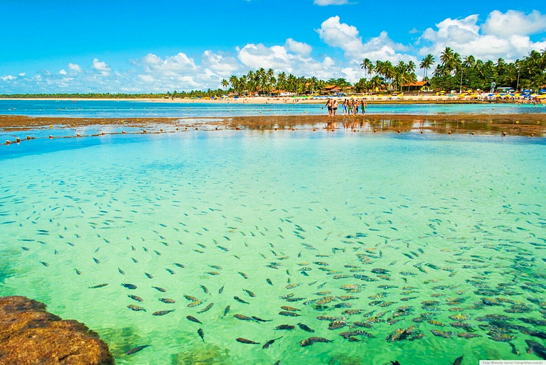 Depto c/piscina privada, cerca del piscinas natur